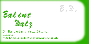 balint walz business card